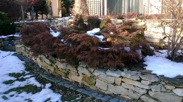 Usługi ogrodnicze Rzeszów