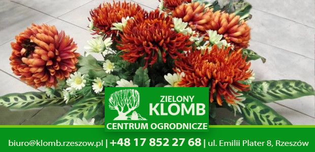 Stroiki na cmentarz sklep internetowy Stroiki na cmentarz sklep internetowy