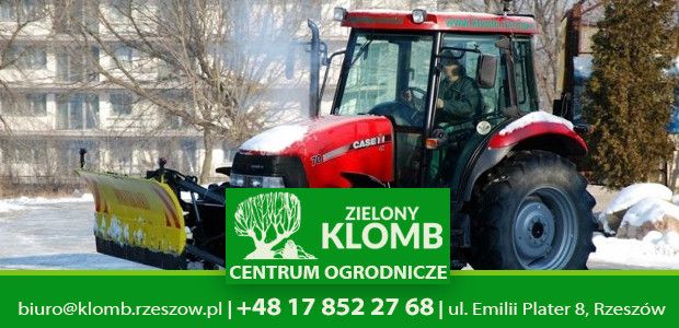 Ekipa odśnieżająca w Rzeszowie Ekipa odśnieżająca w Rzeszowie