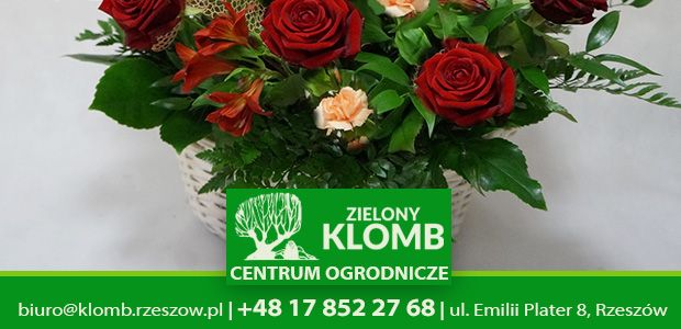 Florystyka Rzeszów florystyka ślubna Rzeszów
