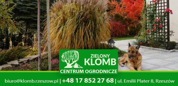 Nawożenie jesienne roślin Rzeszów Nawożenie jesienne roślin Rzeszów