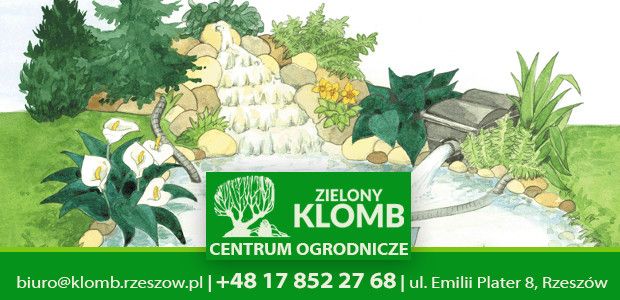 Kontrola stanu filtrów w oczku wodnym Kontrola stanu filtrów w oczku wodnym