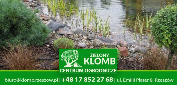 Woda w oczku wodnym pod kontrolą Woda w oczku wodnym pod kontrolą