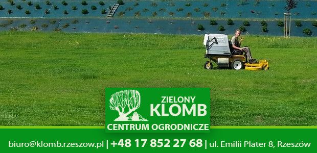 Koszenie trawnika Rzeszów Koszenie trawnika Rzeszów