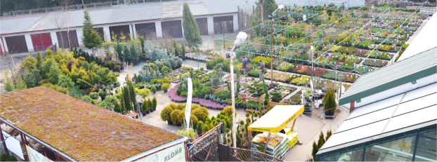 Centrum ogrodnicze Rzeszów