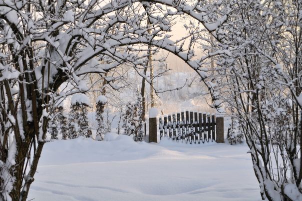 Profesjonalne odśnieżane Rzeszów