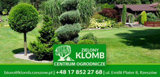 Projektowanie ogrodów Rzeszów Wizualizacje ogrodów Rzeszów