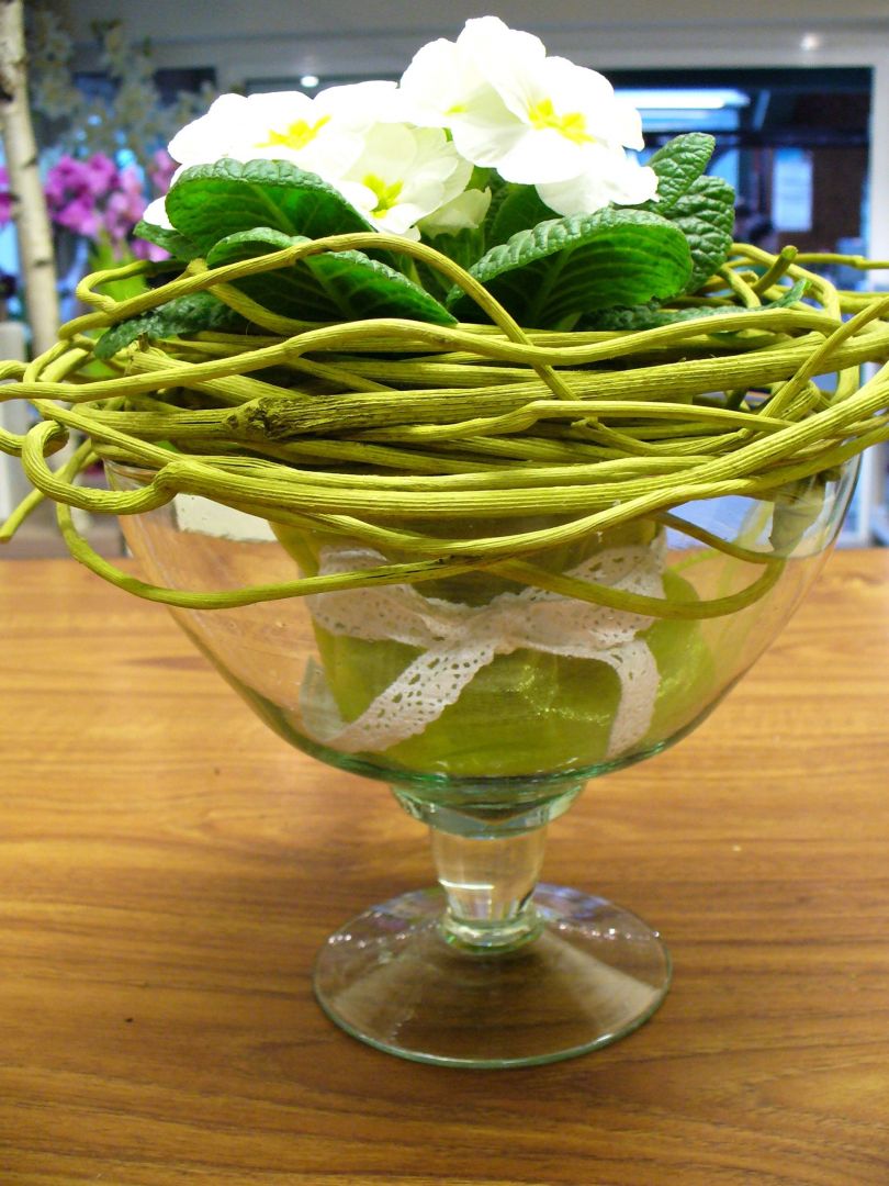 Sprzedaż roślin doniczkowych Rzeszów