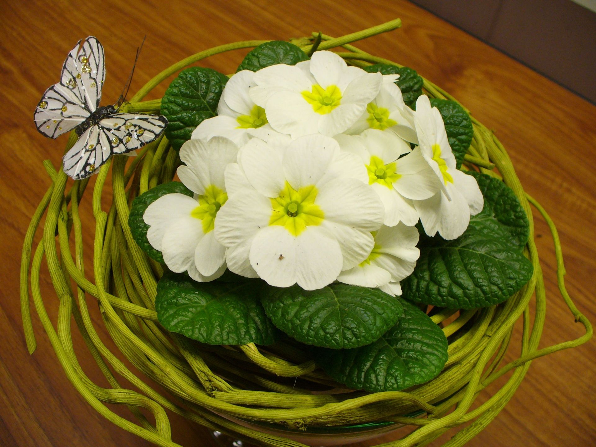 Kwiaciarnia w Rzeszowie