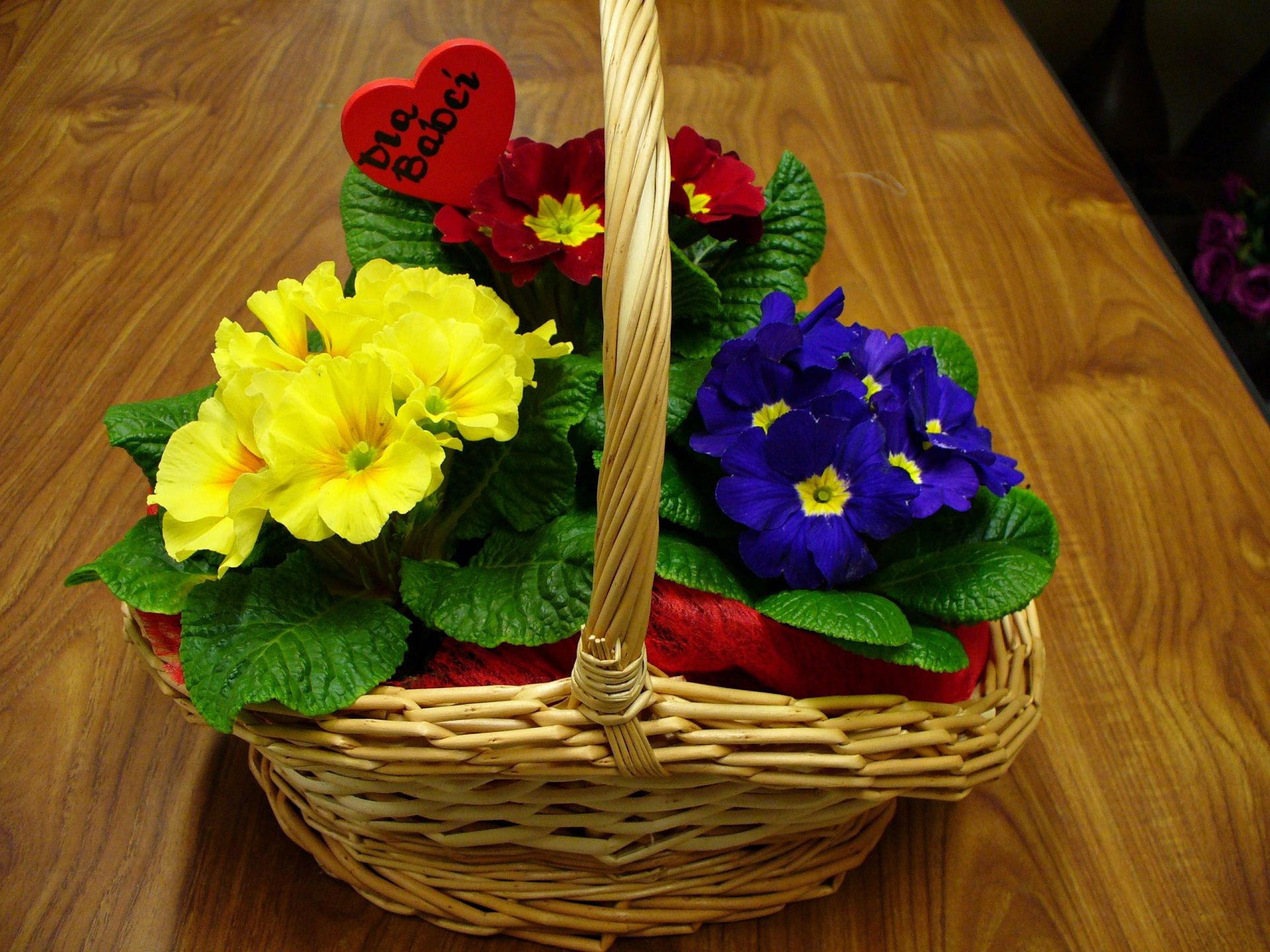 Pielęgnacja zieleni Rzeszów