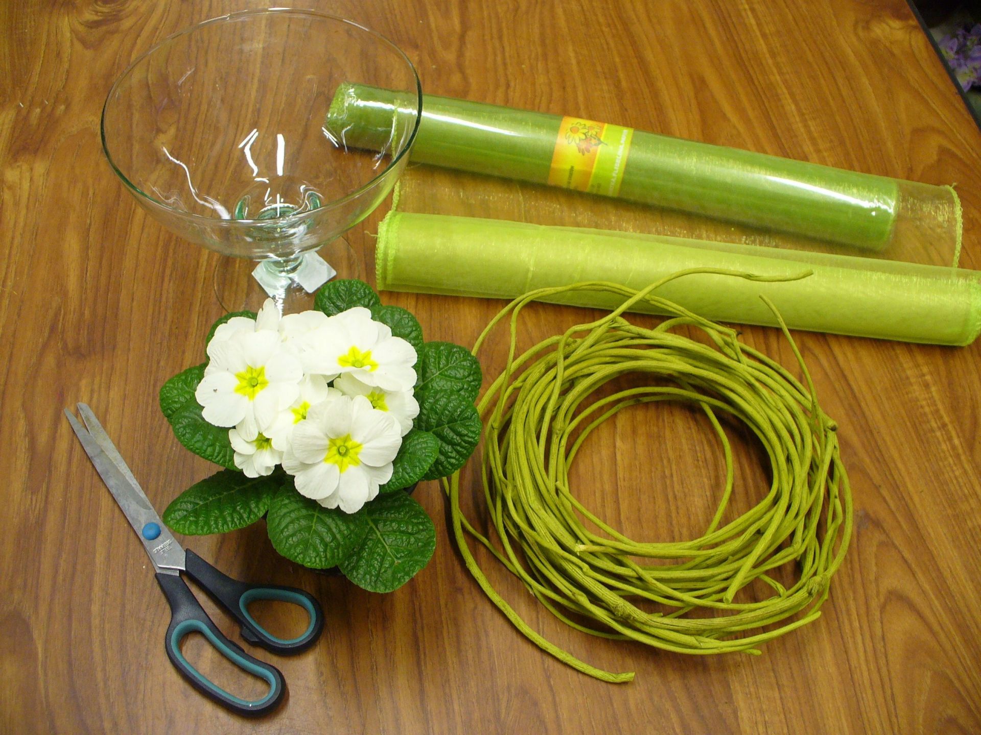 Prierwiosnki Rzeszów