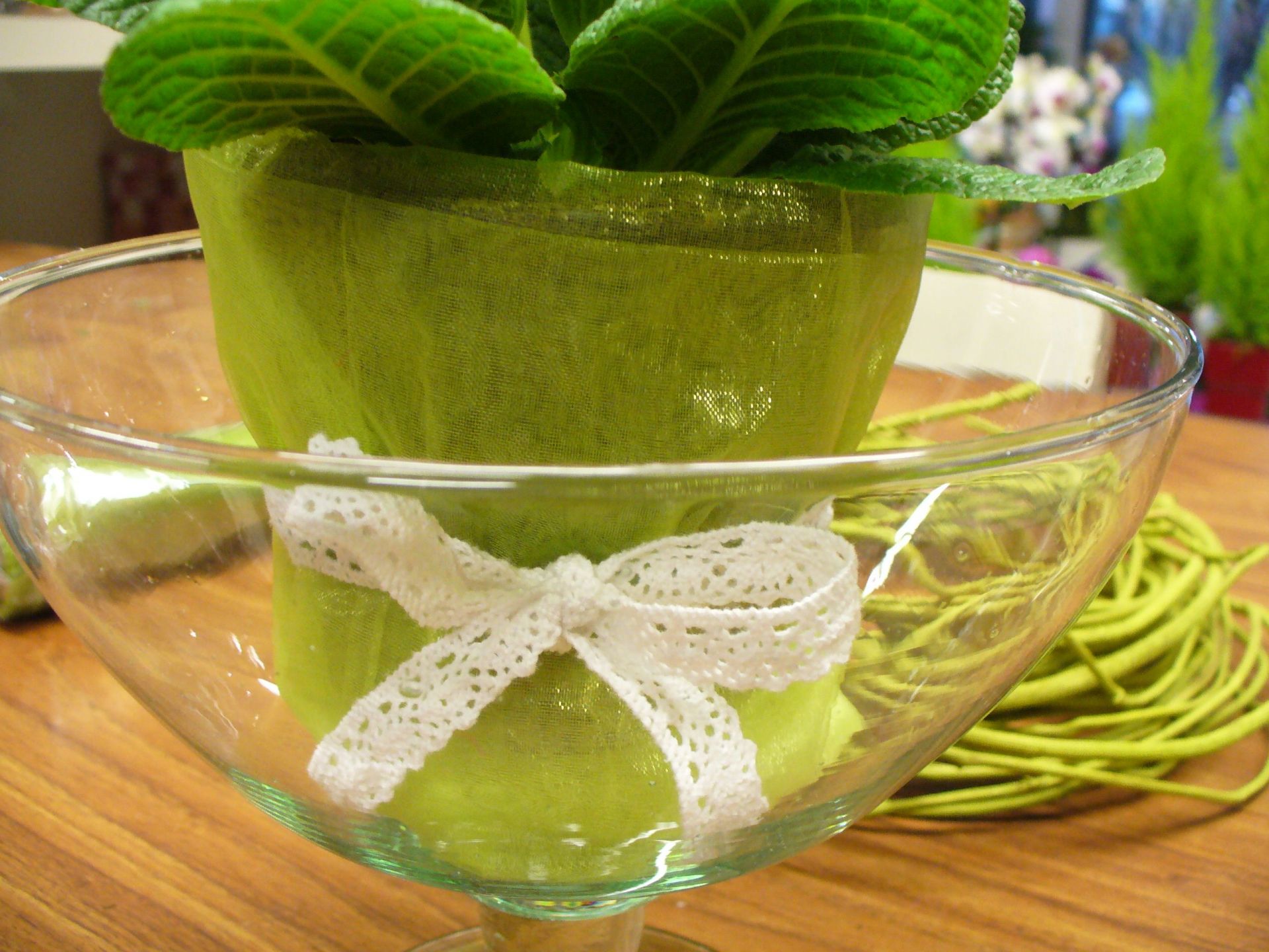 Pielęgnowanie kwiatów Rzeszów