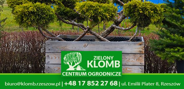 Przycinanie krzewów na wiosnę Rzeszów Przycinanie roślin Rzeszów