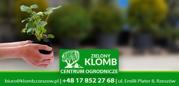 Środki ochrony roślin Rzeszów Środki ochrony roślin na wiosnę