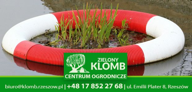 Środki ochrony roślin w Rzeszowie Środki ochrony roślin w Rzeszowie