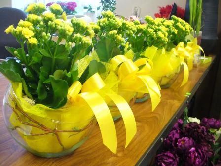 Wielkanocne kompozycje kwiatowe