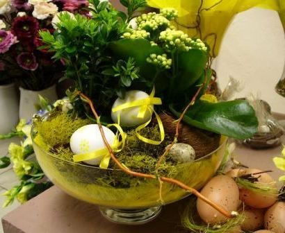 Rośliny sezonowe Rzeszów