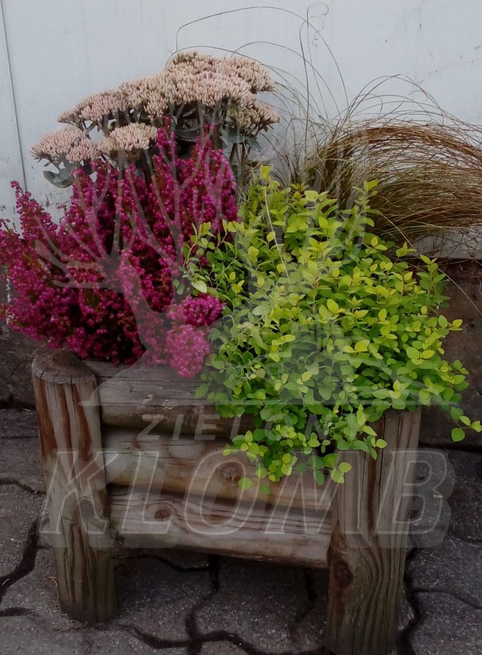 Jesienne dekorcje na balkonie Jesienne dekorcje na balkonie