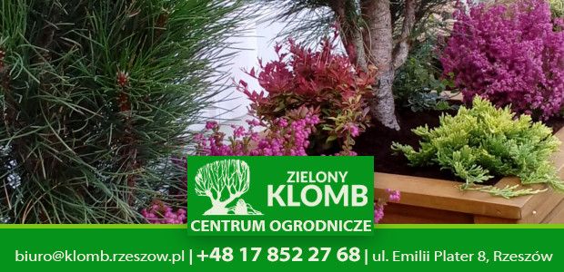 Kompozycje kwiatowe z wrzosem Kompozycje kwiatowe z wrzosem