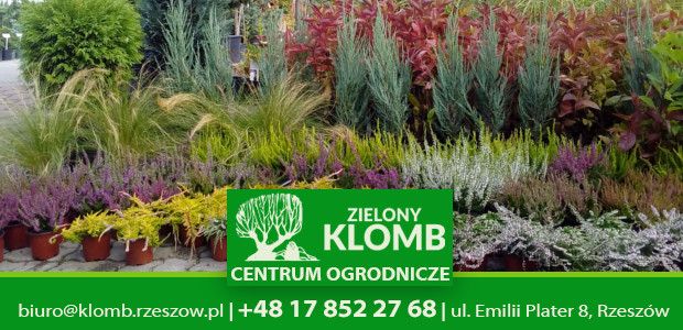 Wrzosowate - dekoracja balkonów i wnętrz Wrzosowate - dekoracja balkonów i wnętrz