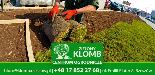 Zakładanie trawnika z rolki Rzeszów